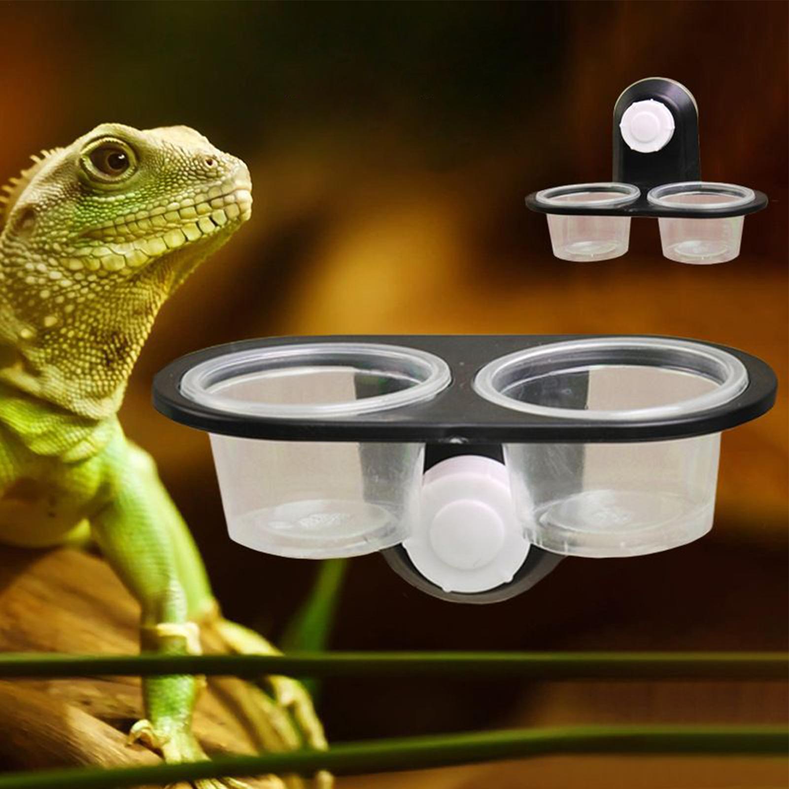 Water Dish Reptile - Dispensador de Água e Comida para