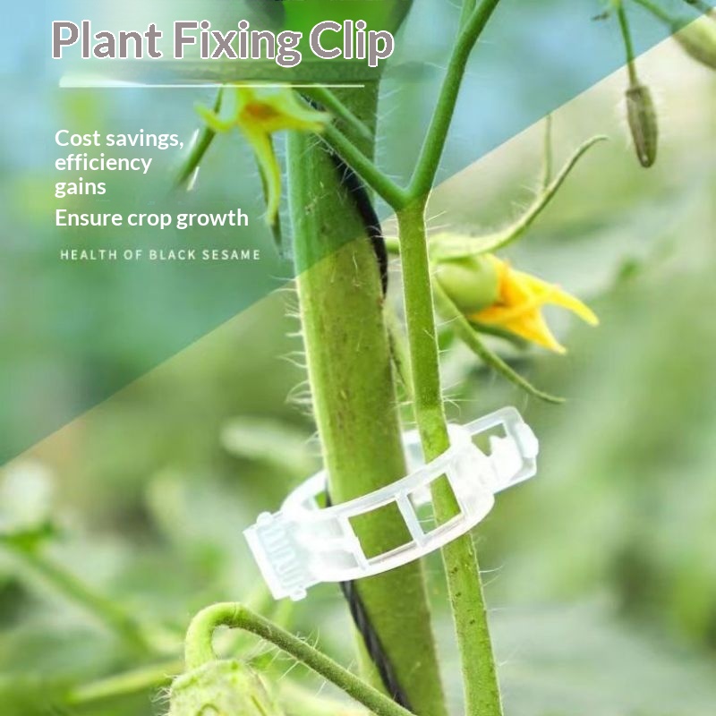 Vine Climbing Plastic - Clipes de Suporte para Plantas de