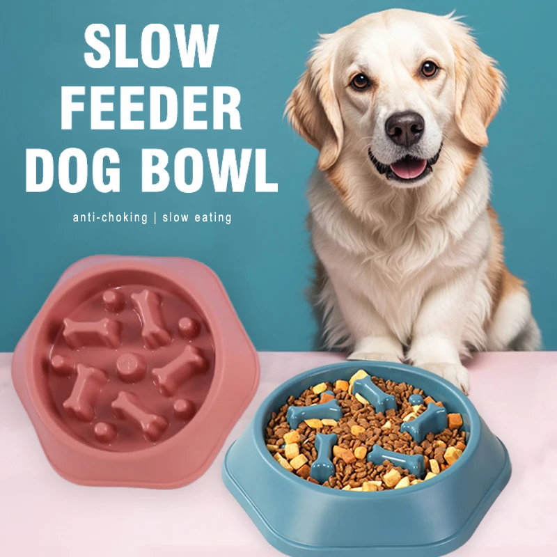 Nova Tigela Comedouro Lento pa - Royal Canin Food Medium avaliação e preço