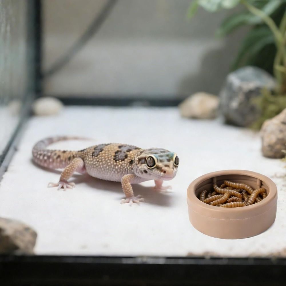 Comedouro Portátil Anti-Fuga p - Water Dish Reptile avaliação e preço