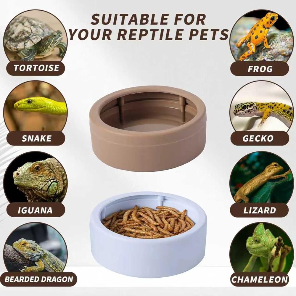 Comedouro Portátil Anti-Fuga p - Water Dish Reptile avaliação e preço