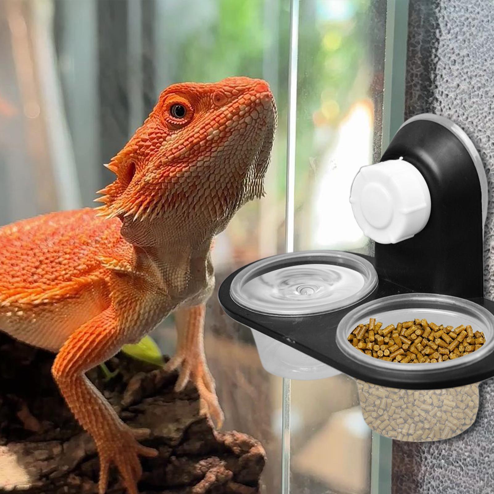 Dispensador de Água e Comida p - Water Dish Reptile avaliação e preço