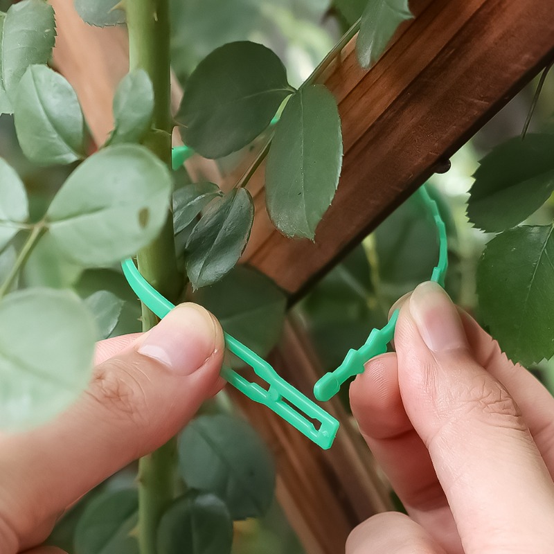 Atacado: Abraçadeiras Reutiliz - Vine Climbing Plastic avaliação e preço