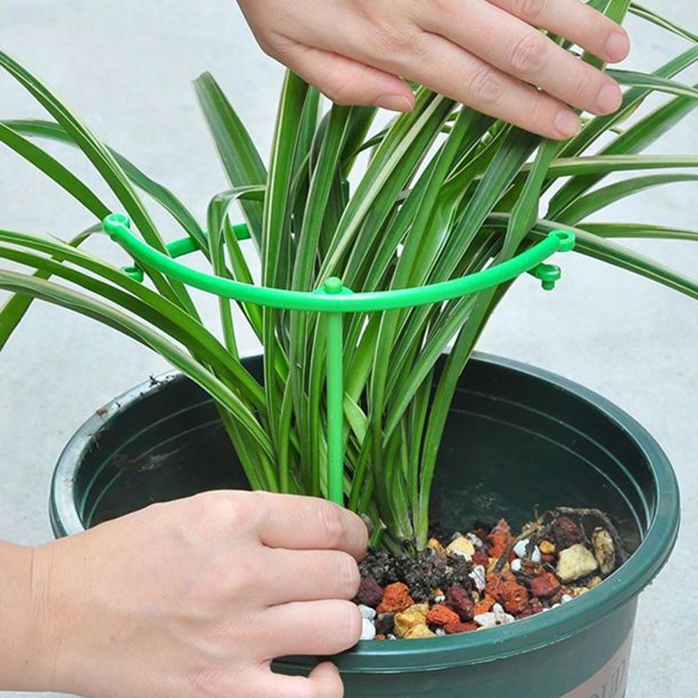 Anel de Suporte Ajustável Verd - Vine Climbing Plastic avaliação e preço
